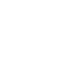 cell-phone icon